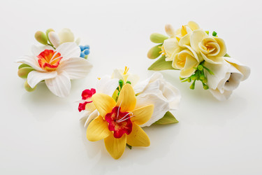 Similar image 11617504