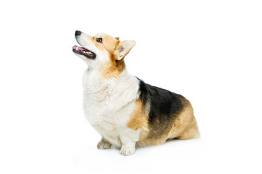 Similar image 11617509