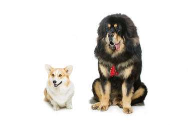 Similar image 11616214