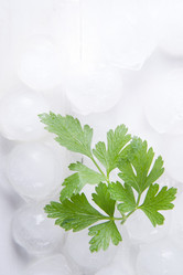 Similar image 11770071