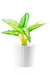 Similar image 11511444