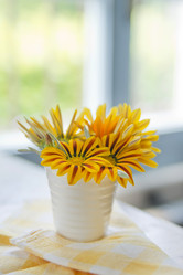 Similar image 11511638