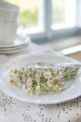 Similar image 11511500