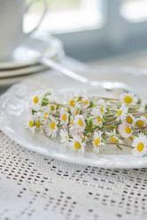 Similar image 11511501