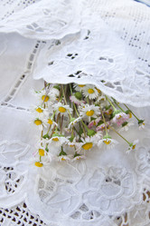 Similar image 11511520