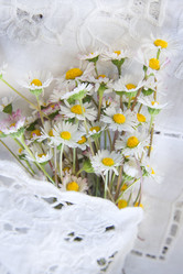 Similar image 11511521