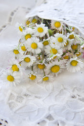 Similar image 11511522