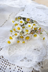 Similar image 11511523