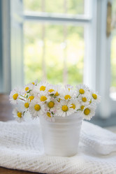 Similar image 11511525