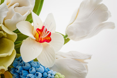 Similar image 11617029