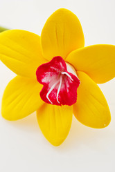 Similar image 11617076