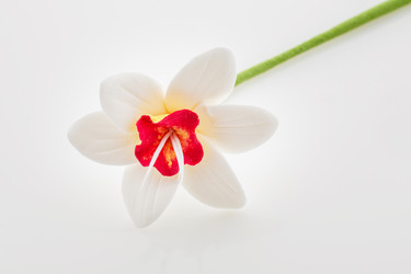 Similar image 11617082