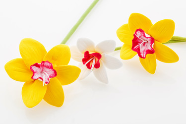 Similar image 11617091