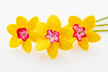 Similar image 11617094