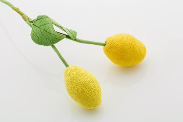 Similar image 11617129