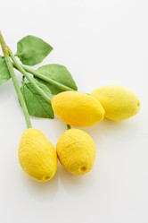 Similar image 11617159