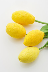 Similar image 11617161