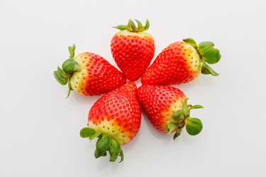 Similar image 11617173