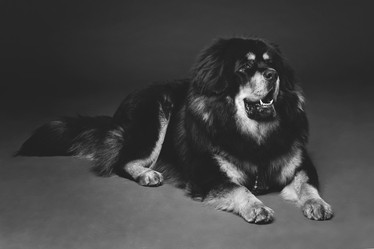 Similar image 11617211