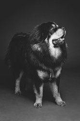 Similar image 11617212