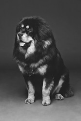 Similar image 11617215