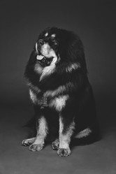 Similar image 11617218