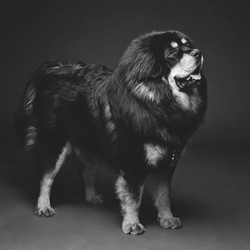 Similar image 11617385