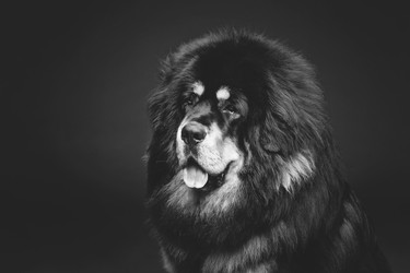 Similar image 11617391