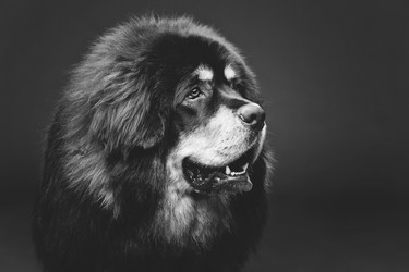 Similar image 11617396