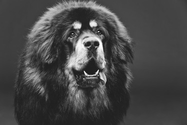 Similar image 11617399