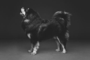 Similar image 11617403