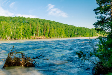 Similar image 11510772