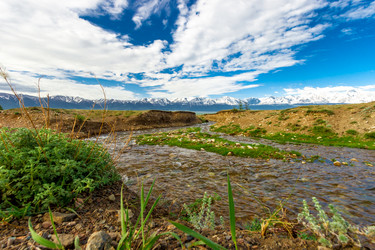 Similar image 11510774