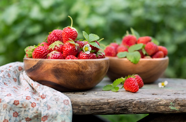 Similar image 11768636