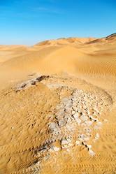 Similar image 11509363