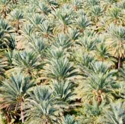 Similar image 11509364