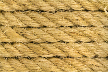 Similar image 11512530