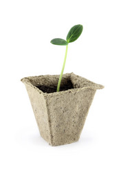 Similar image 11511708