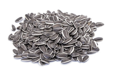 Similar image 11511718