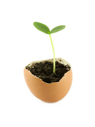 Similar image 11511740