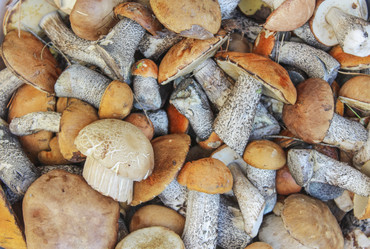 Similar image 11510826