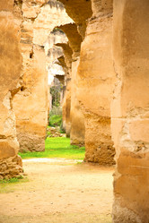 Similar image 11511460