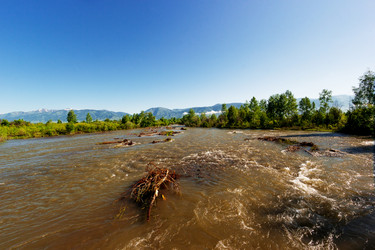 Similar image 11510779