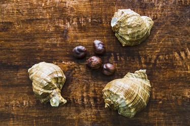 Similar image 11510729