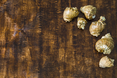 Similar image 11510750