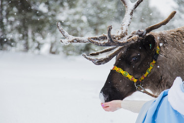 Similar image 11510751