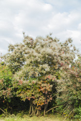 Similar image 11510755