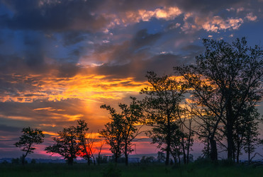 Similar image 11510479