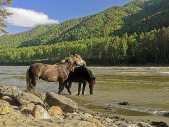 Similar image 11510480