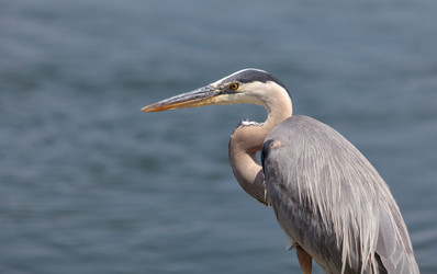 Similar image 11511530